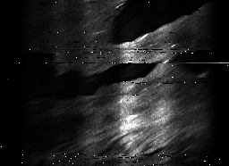 ascat_grayscale_ch4.png